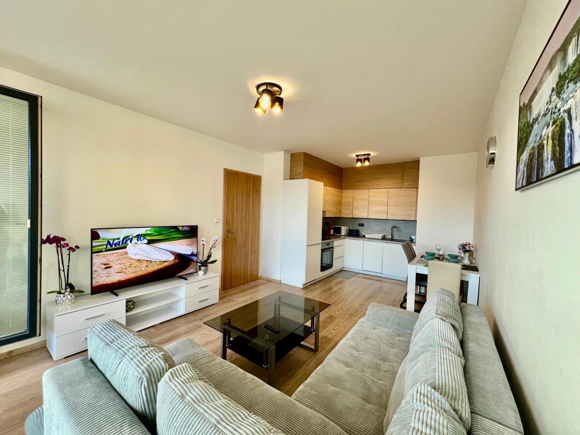 Tomas Apartment,free Parking-02 Arena * Prag